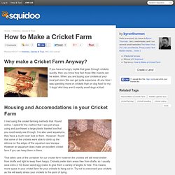 How to Make a Cricket Farm