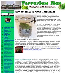 How to make a moss terrarium
