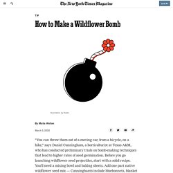 How to Make a Wildflower Bomb