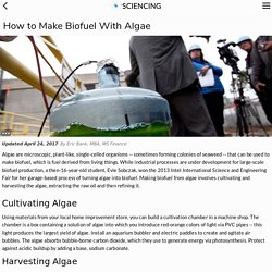 How to Make Biofuel With Algae