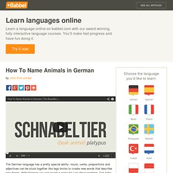 How To Name Animals in German