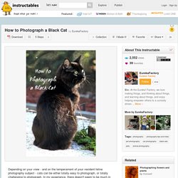 How to Photograph a Black Cat