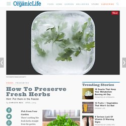 Preservation Guide: How to Freeze Herbs