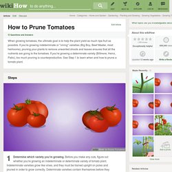 How to Prune Tomatoes: 5 Steps