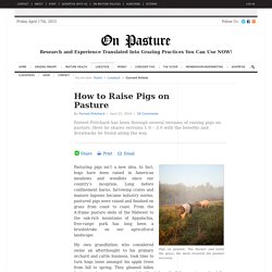 How to Raise Pigs on Pasture « On Pasture
