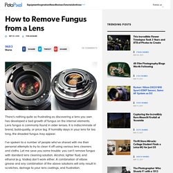 How to Remove Fungus from a Lens