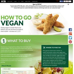 How to Go Vegan & Why in 3 Simple Steps