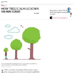 How Trees Calm Us Down