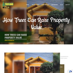 How Trees Can Raise Property Value