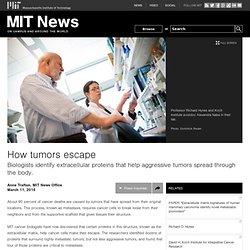 How tumors escape