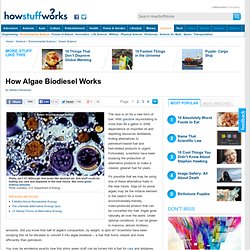 How Algae Biodiesel Works"