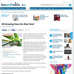 40 Amazing Uses for Aloe Vera!"