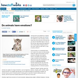 Do animals have emotions?: Animal Facts