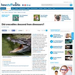 Did crocodiles descend from dinosaurs