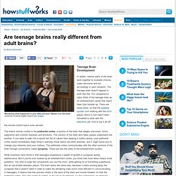 Teenage Brain Development"
