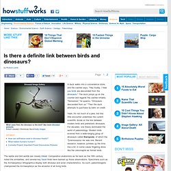 Is there a definite link between birds and dinosaurs?"