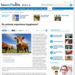 Do animals experience happiness