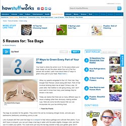 5 Reuses for: Tea Bags"