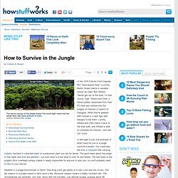 How to Survive in the Jungle"