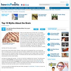 Top 10 Brain Myths"