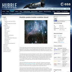 Hubble peeks inside a stellar cloud