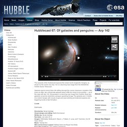 Hubblecast 67: Of galaxies and penguins — Arp 142