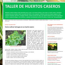 TALLER DE HUERTOS CASEROS: Como cultivar lechugas en su huerto casero