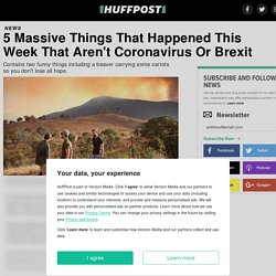 5 Massive Things That Happened This Week That Aren't Coronavirus Or Brexit