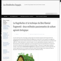 La Hugelkultur et la technique du Bois Raméal Fragmenté : deux méthodes passionnantes de culture agricole biologique