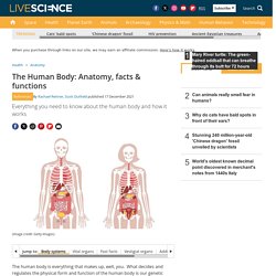 #1 Starting Resource The Human Body: Anatomy, Facts & Functions