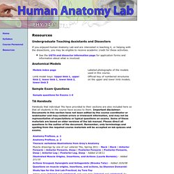 Human Anatomy Lab