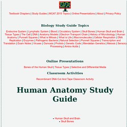 Human Anatomy Study Guide - Alyvea.com