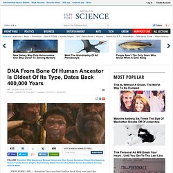 DNA From Bone Of Human Ancestor Is Oldest Of Its Type, Dates Back 400,000 Years
