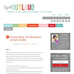Human Body: The Backbone (simple model)