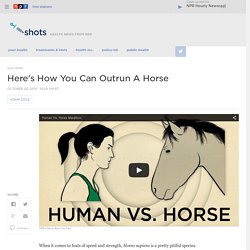 A Human Can Beat A Horse In An Endurance Race
