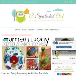 Human Body Learning Activities for Kids