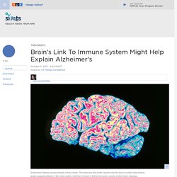 Human Brain Has A Direct Link To The Immune System After All