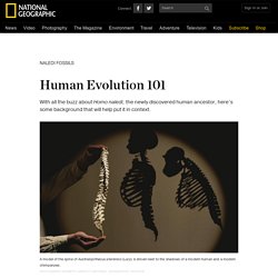Human Evolution 101