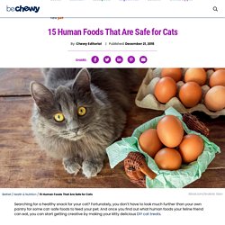15 Human Foods That Are Safe for Cats