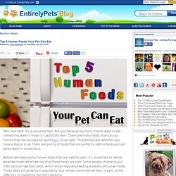 Top 5 Human Foods Your Pet Can Eat 