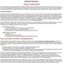 Human Memory: Atkinson-Shiffrin Model