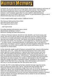 Human Memory Model