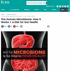 Human Microbiome: How It Works + a Diet for Gut Health
