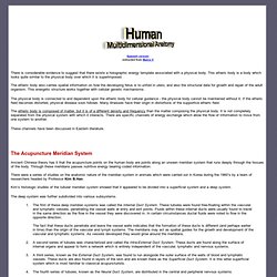 Human Multidimensional Anatomy