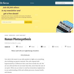Human Photosynthesis