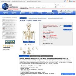 Human Skeletons For Sale
