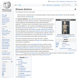 Human skeleton - Wikipedia