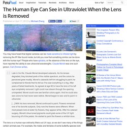 The Human Eye Can See in Ultraviolet When the Lens is Removed