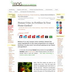 Human Urine As Fertilizer In Your Home Garden?