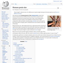 Human penis size